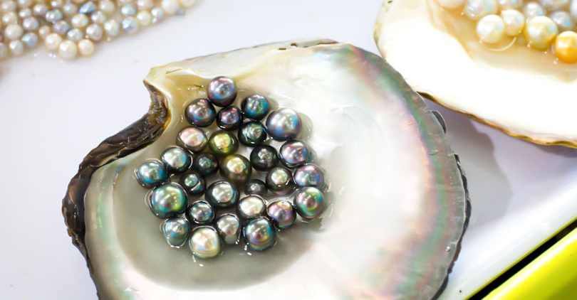 The Main Types of Cultured Pearls